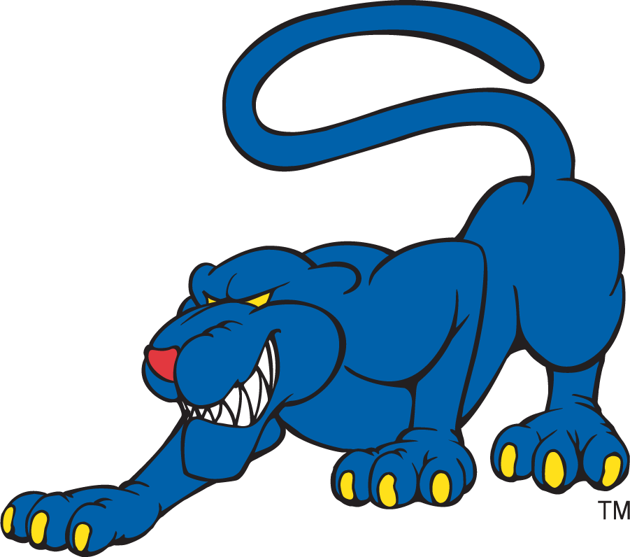 Georgia State Panthers 2002-2009 Secondary Logo v3 diy iron on heat transfer